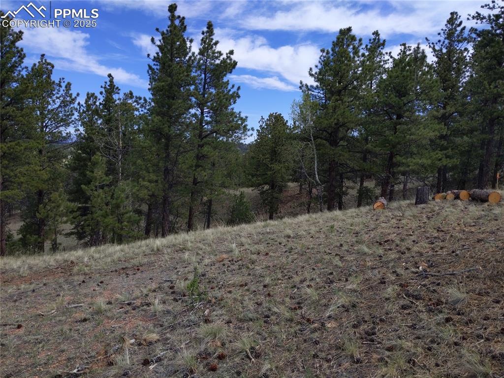 28 Pinnacle Circle Florissant CO 80816