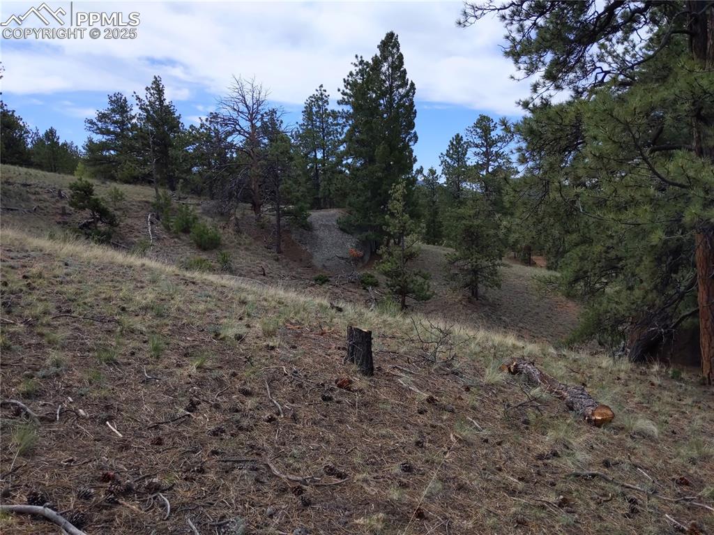 28 Pinnacle Circle Florissant CO 80816
