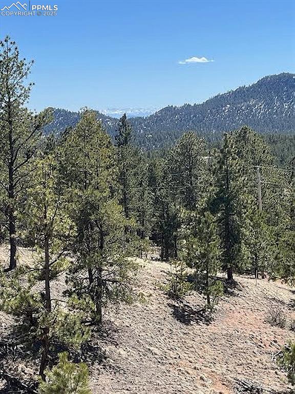 28 Pinnacle Circle Florissant CO 80816