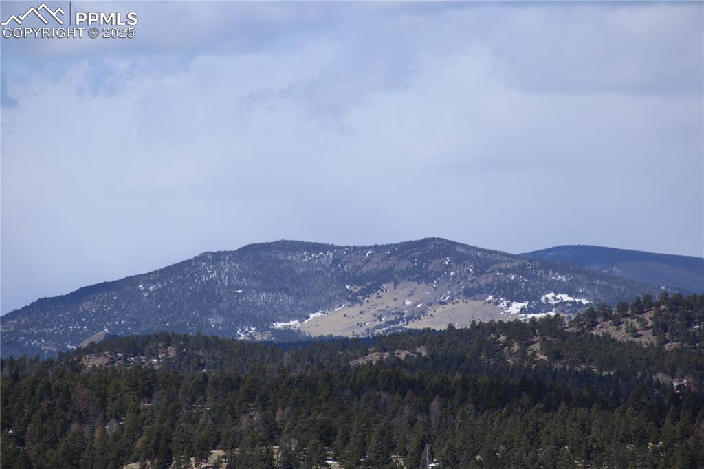 28 Pinnacle Circle Florissant CO 80816