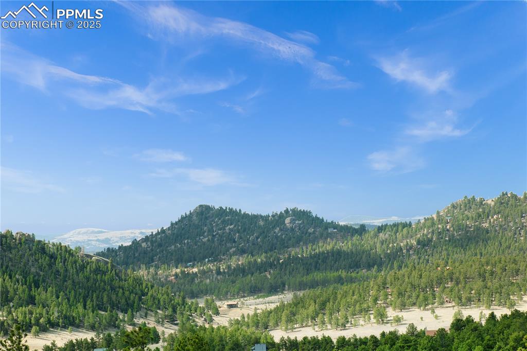 28 Pinnacle Circle Florissant CO 80816