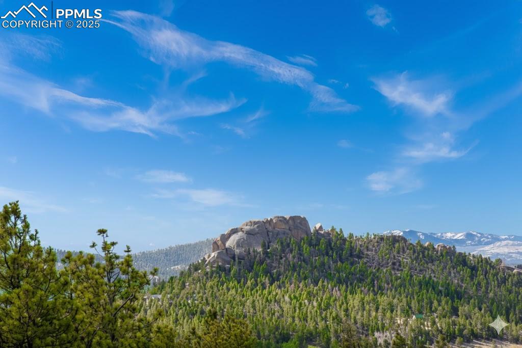 28 Pinnacle Circle Florissant CO 80816
