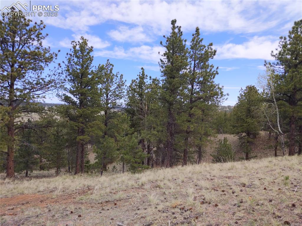 28 Pinnacle Circle Florissant CO 80816