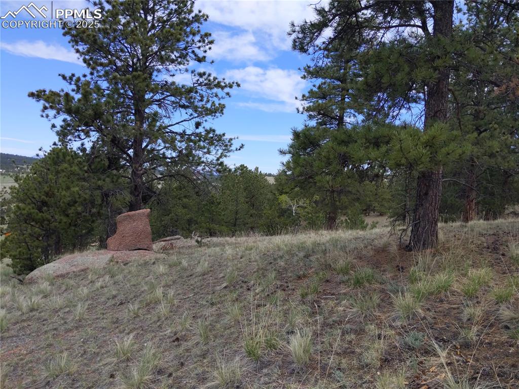 28 Pinnacle Circle Florissant CO 80816