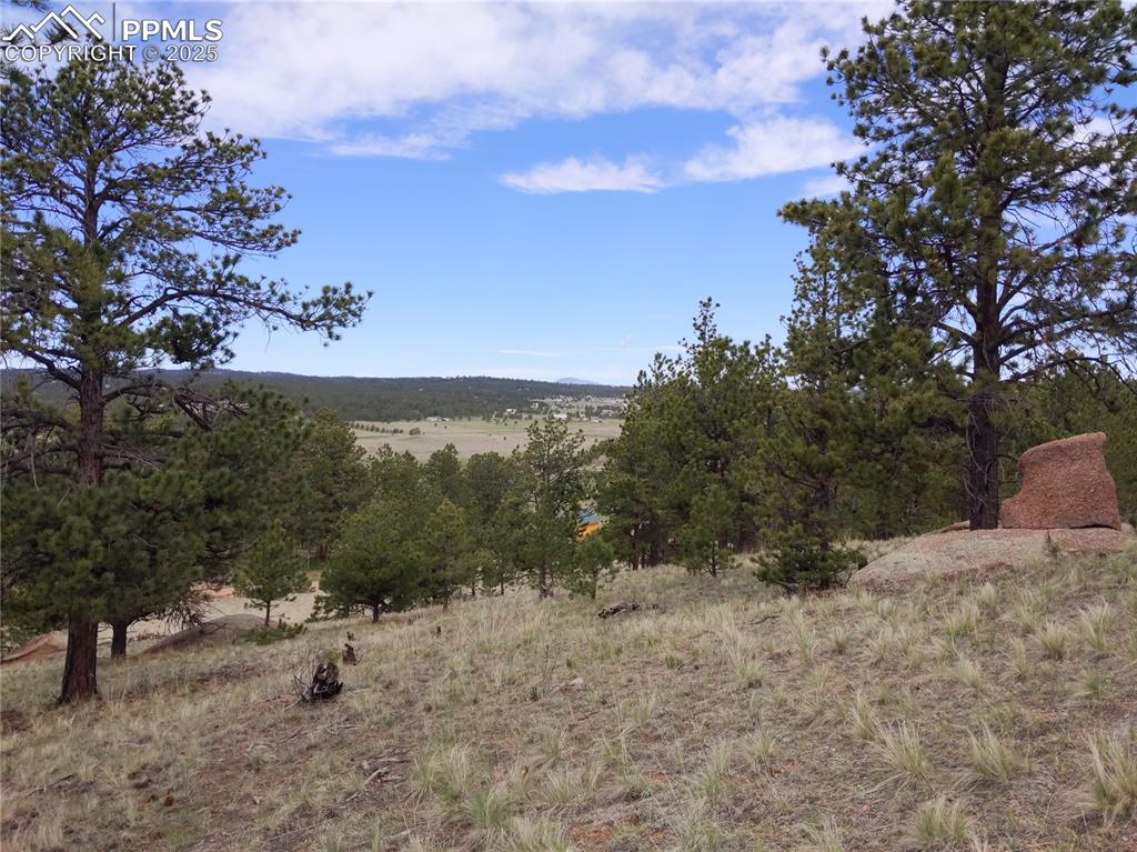 28 Pinnacle Circle Florissant CO 80816