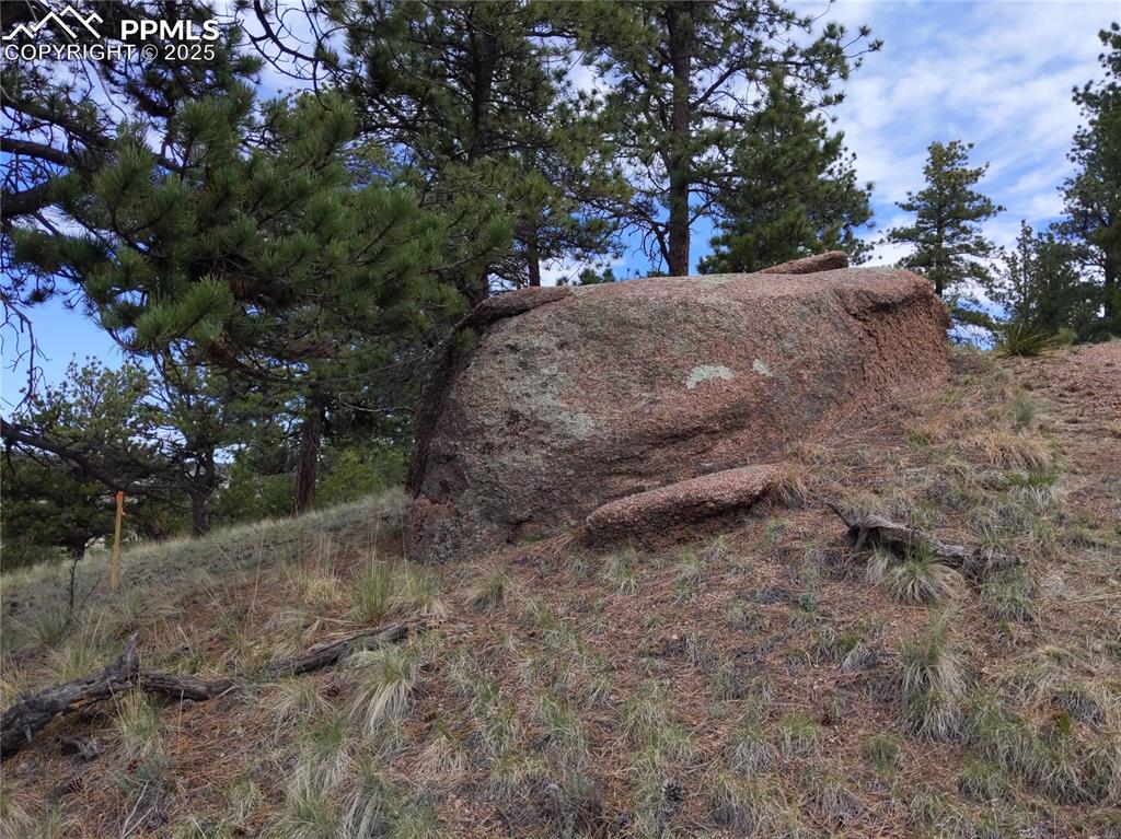 28 Pinnacle Circle Florissant CO 80816