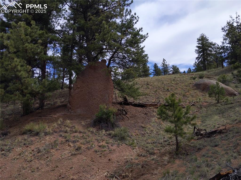 28 Pinnacle Circle Florissant CO 80816