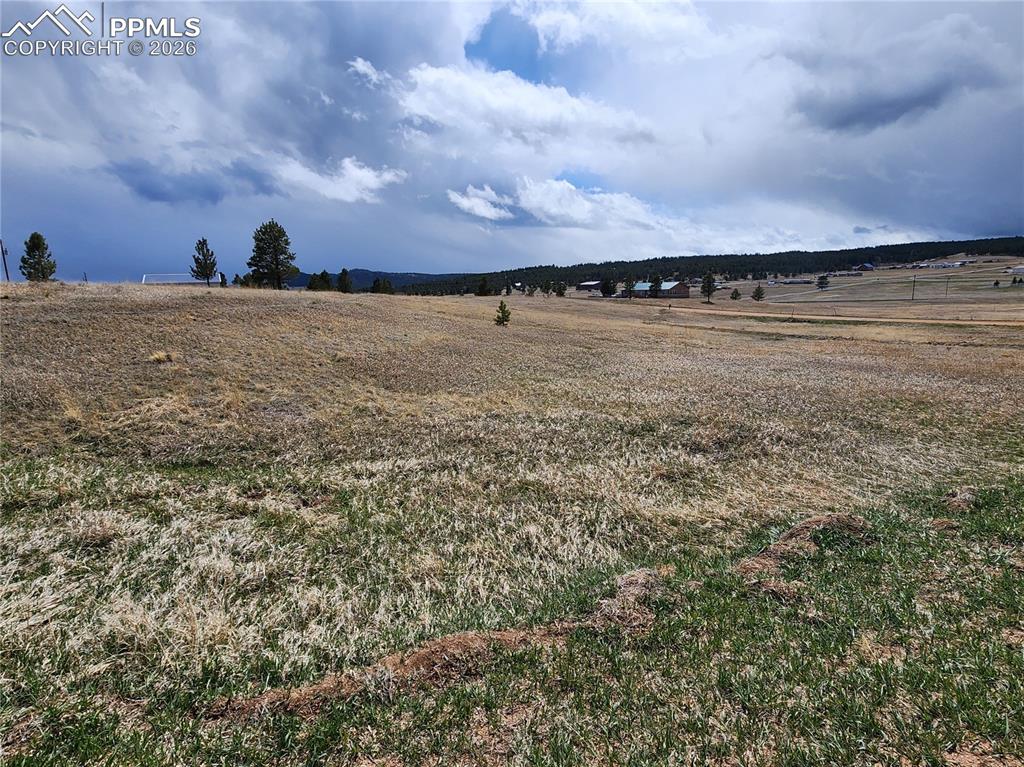 714 Empire Road Florissant CO 80816
