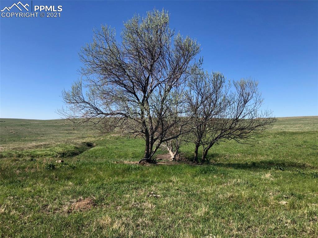 03 Mikita Road Calhan CO 80831
