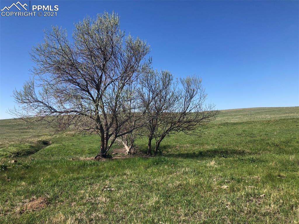 03 Mikita Road Calhan CO 80831