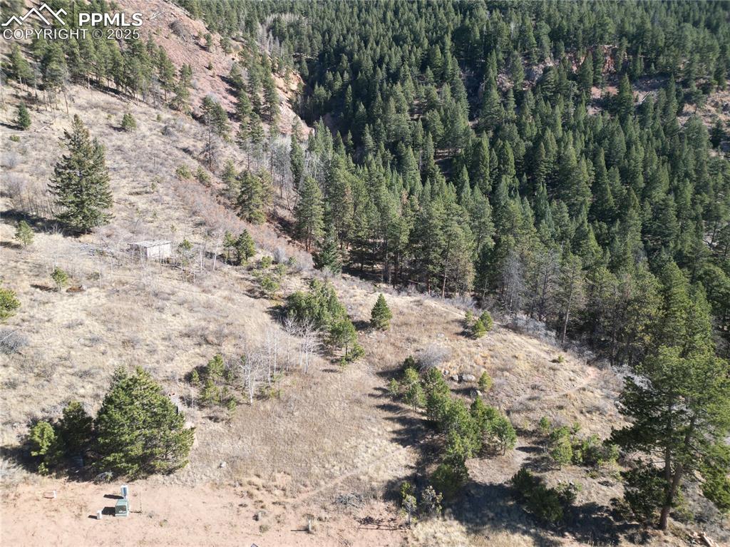 1365 Blue Haven Place Woodland Park CO 80863