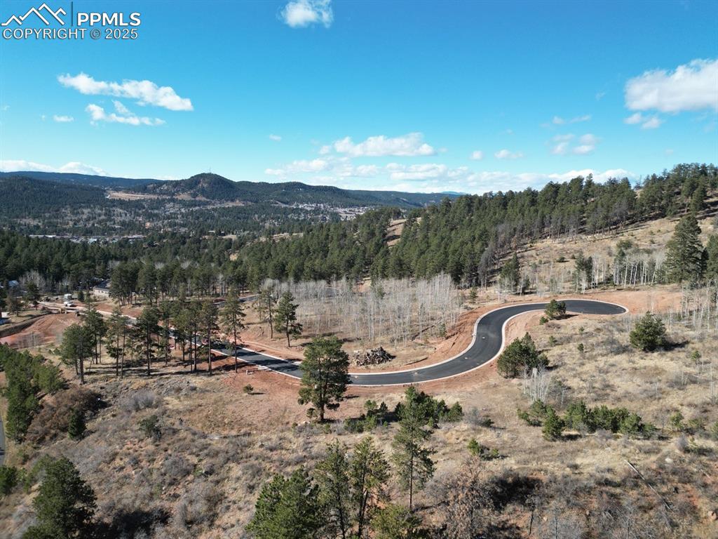 1365 Blue Haven Place Woodland Park CO 80863