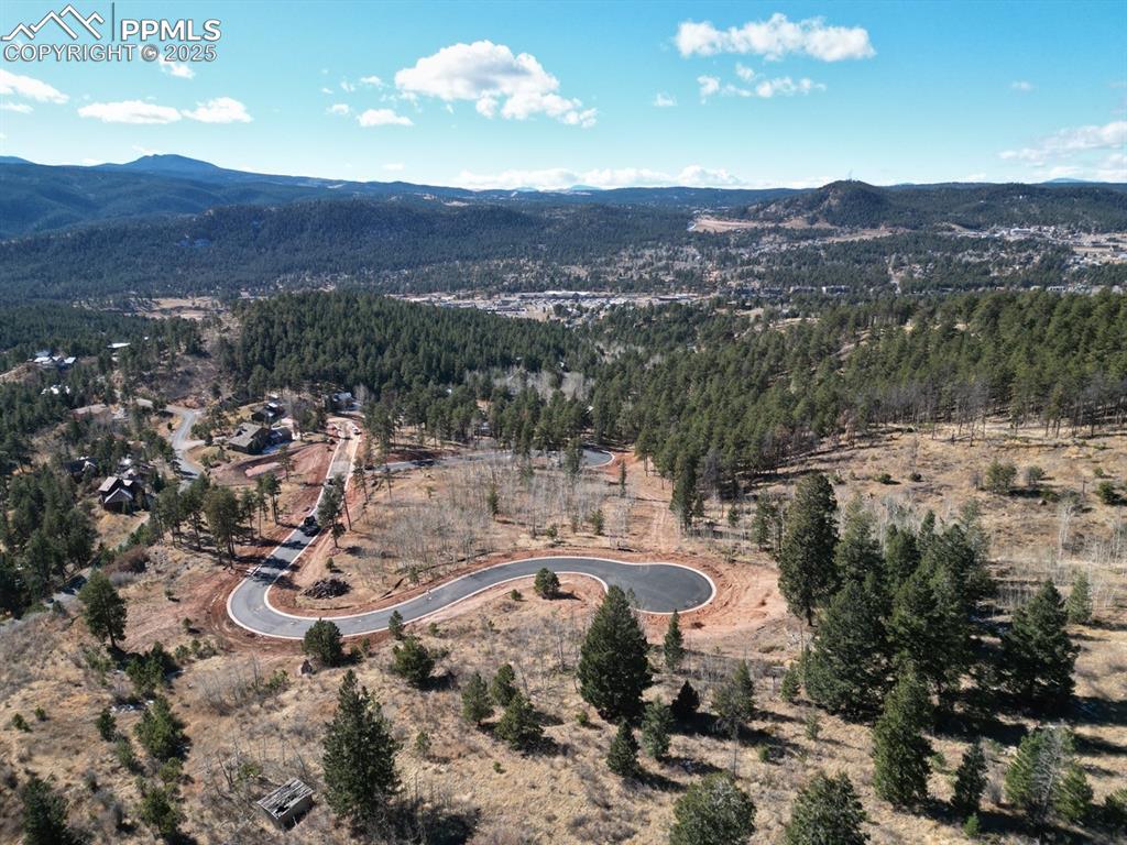 1365 Blue Haven Place Woodland Park CO 80863