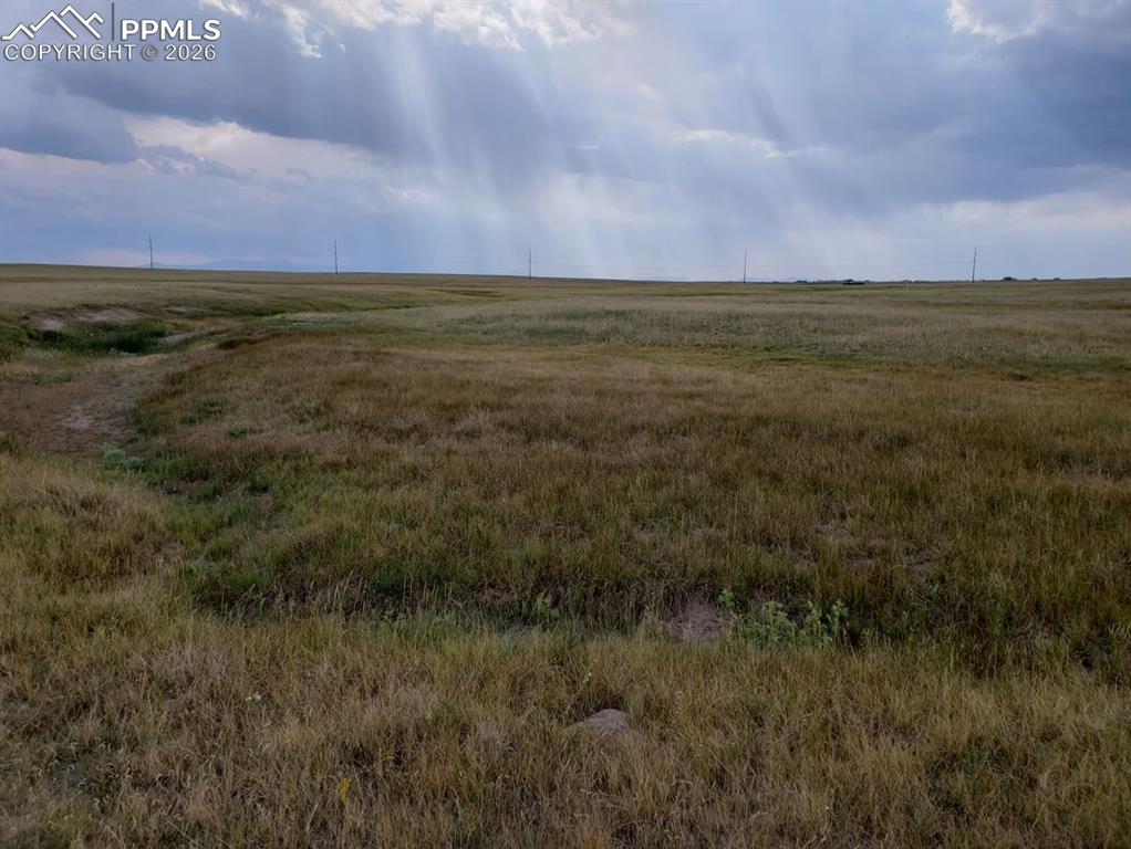 8155 Cowboy Ranch View Falcon CO 80831