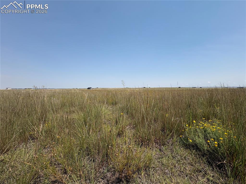 8155 Cowboy Ranch View Falcon CO 80831