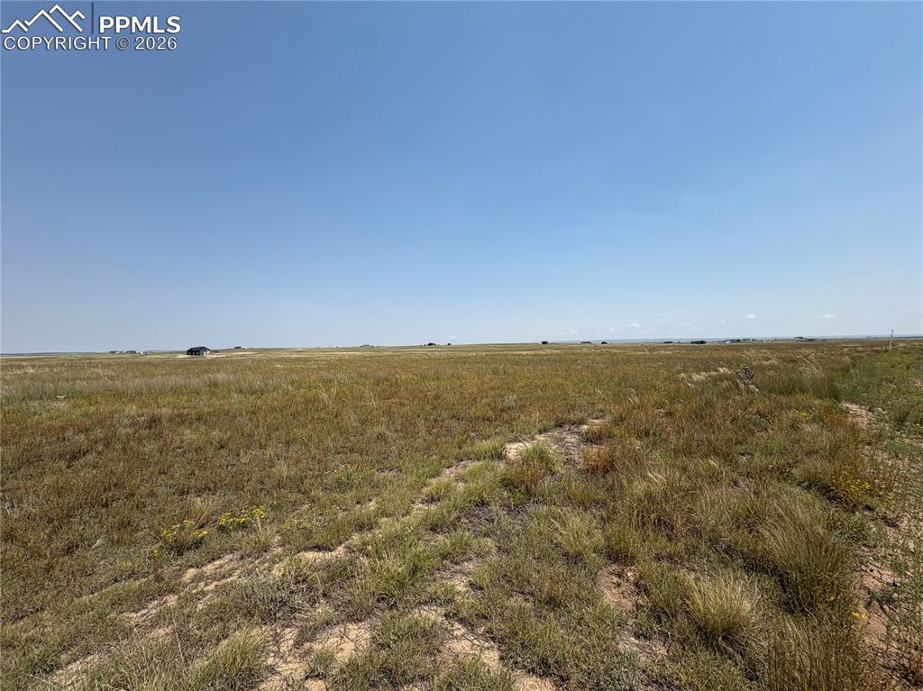 8155 Cowboy Ranch View Falcon CO 80831