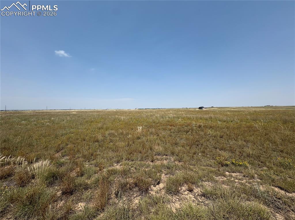 8155 Cowboy Ranch View Falcon CO 80831