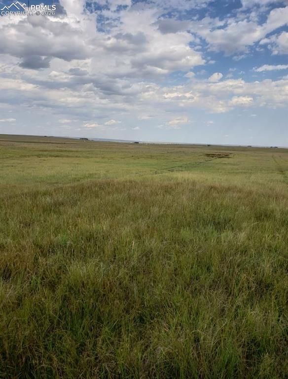 8155 Cowboy Ranch View Falcon CO 80831