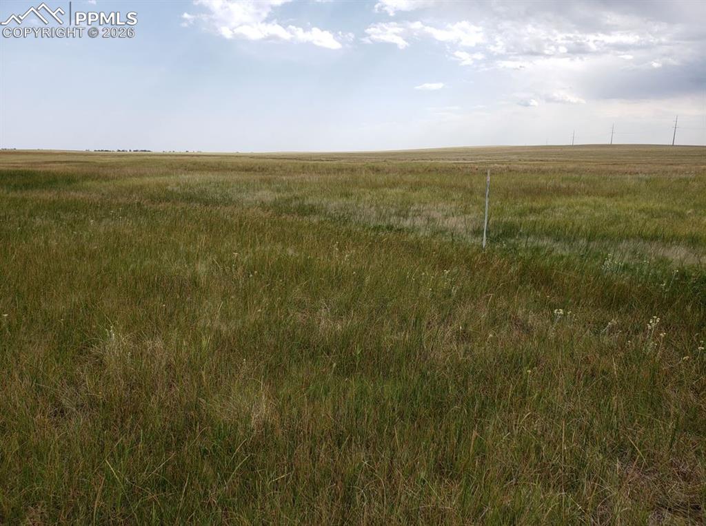 8155 Cowboy Ranch View Falcon CO 80831