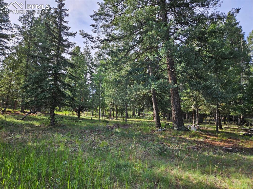 Rolling Park Drive Woodland Park CO 80863