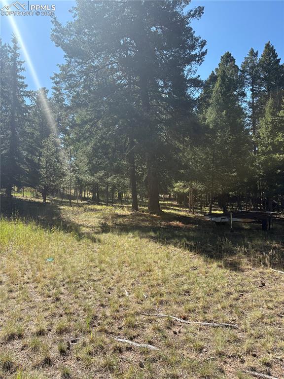 Rolling Park Drive Woodland Park CO 80863