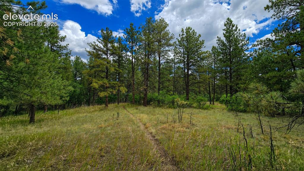 00 Westwood Road Colorado Springs CO 80919