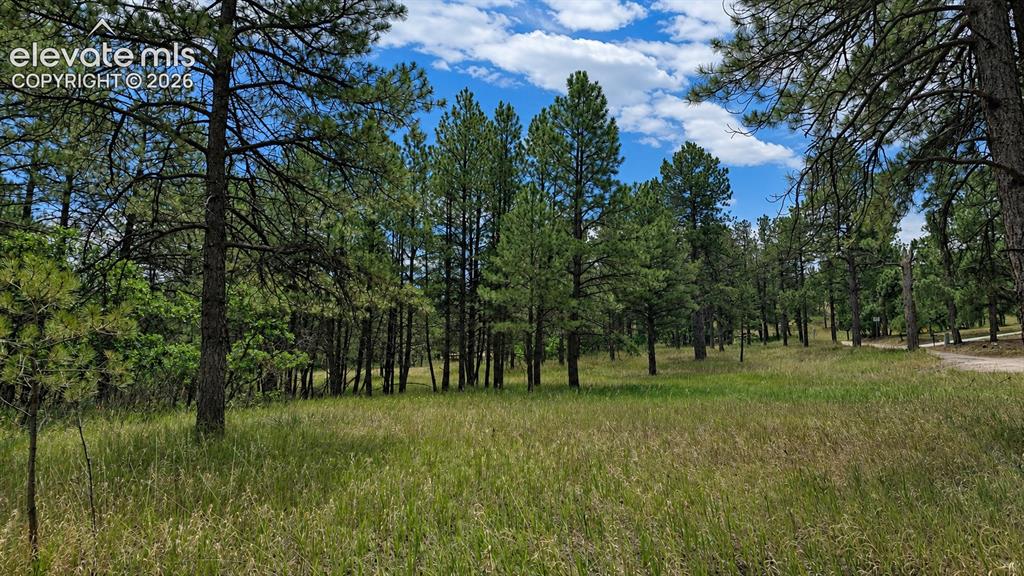 00 Westwood Road Colorado Springs CO 80919