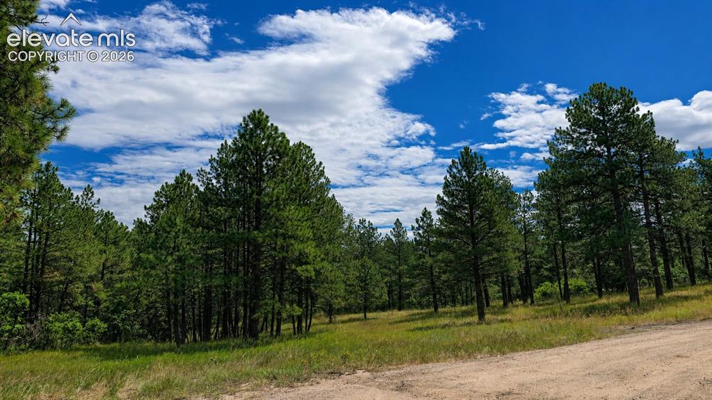 00 Westwood Road Colorado Springs CO 80919