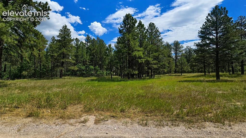 00 Westwood Road Colorado Springs CO 80919