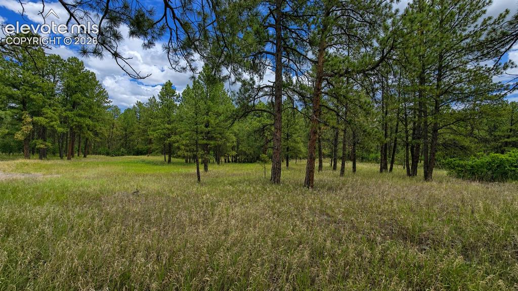 00 Westwood Road Colorado Springs CO 80919