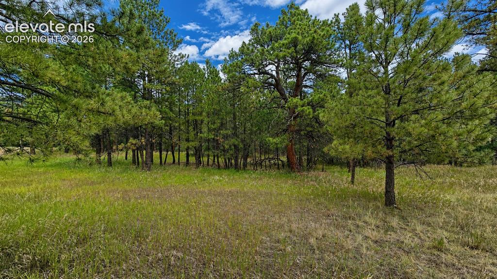 00 Westwood Road Colorado Springs CO 80919