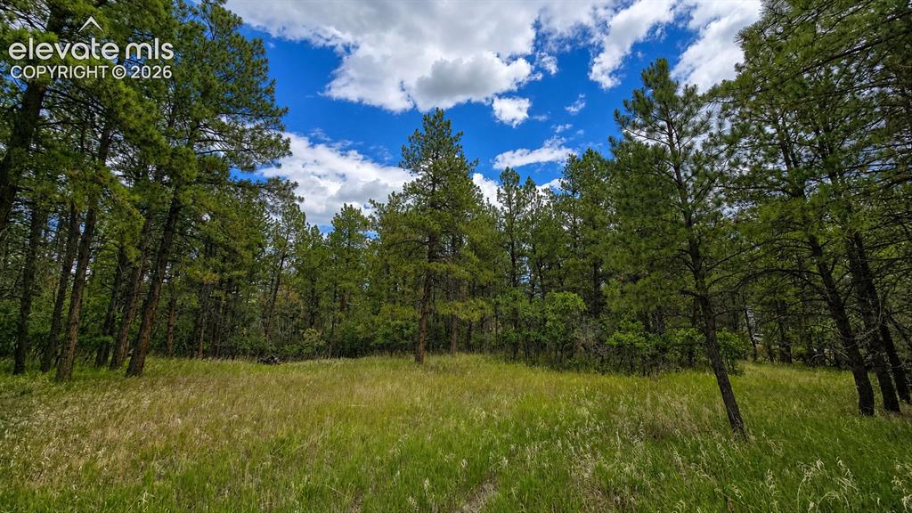 00 Westwood Road Colorado Springs CO 80919