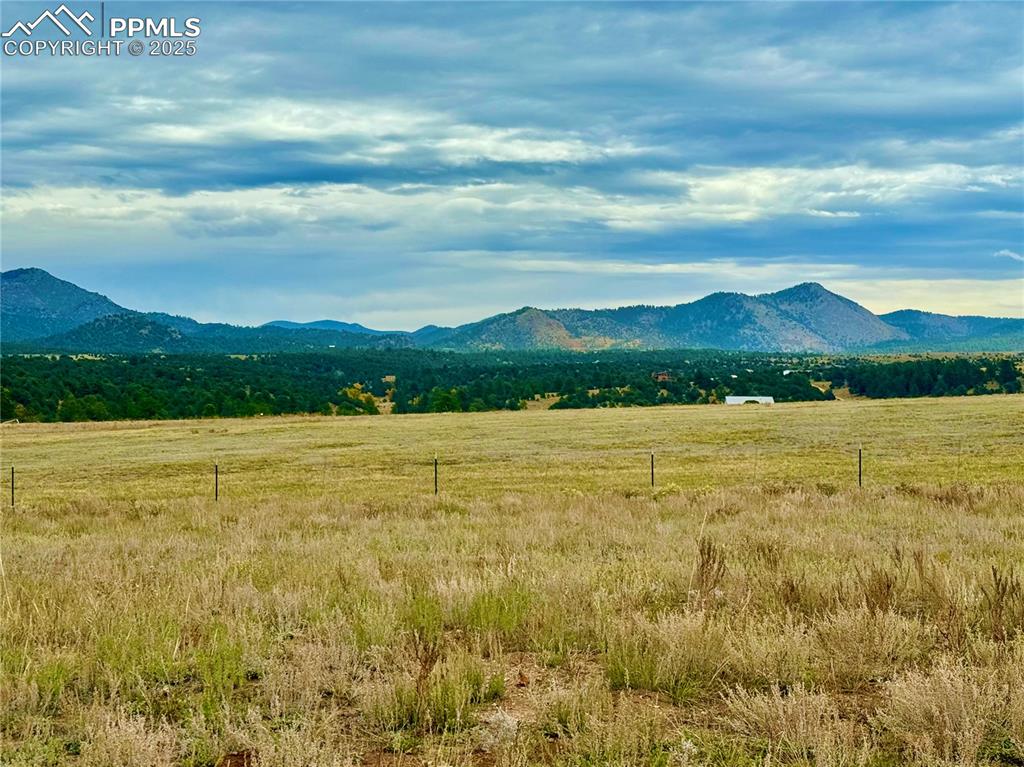 135 Fawn Street Westcliffe CO 81252