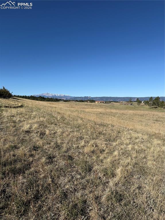 4530 Stewart Ranch Court Colorado Springs CO 80908