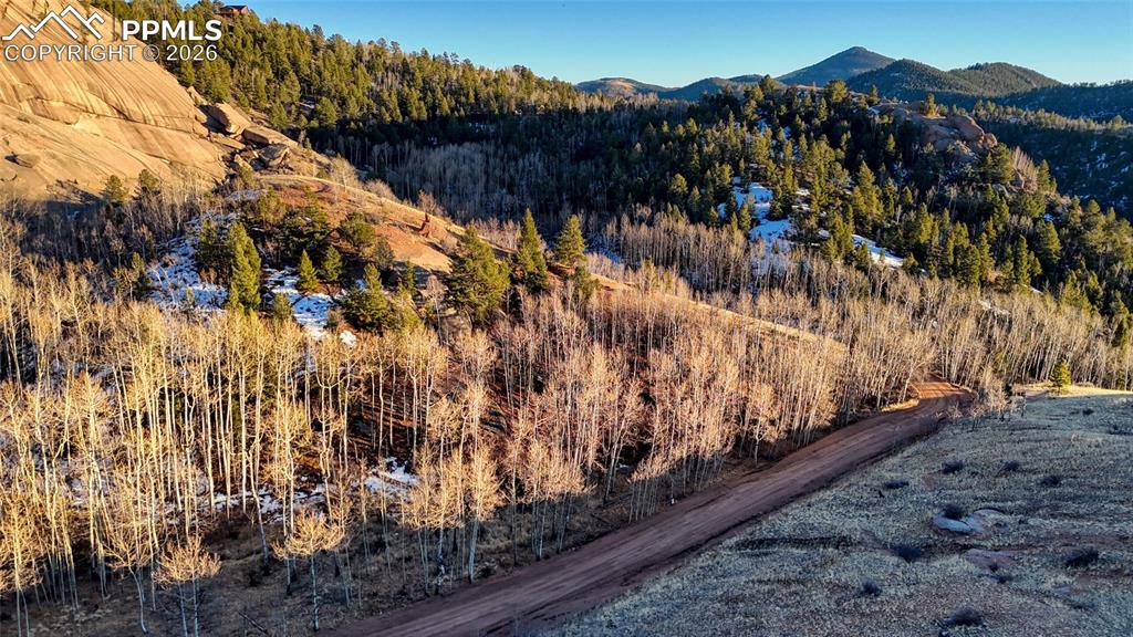 524 Buckhorn Road Cripple Creek CO 80813