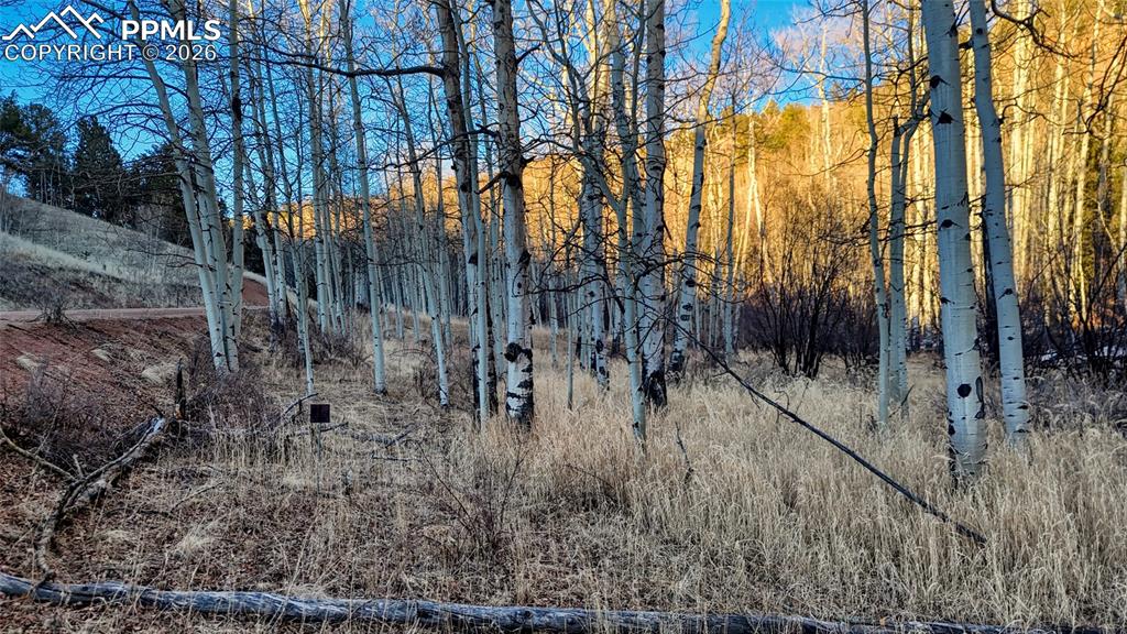 524 Buckhorn Road Cripple Creek CO 80813