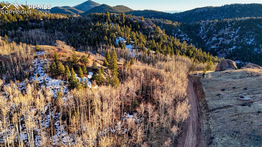 524 Buckhorn Road Cripple Creek CO 80813
