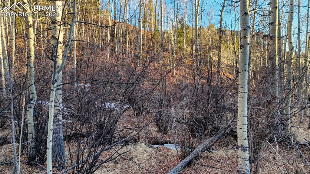 524 Buckhorn Road Cripple Creek CO 80813