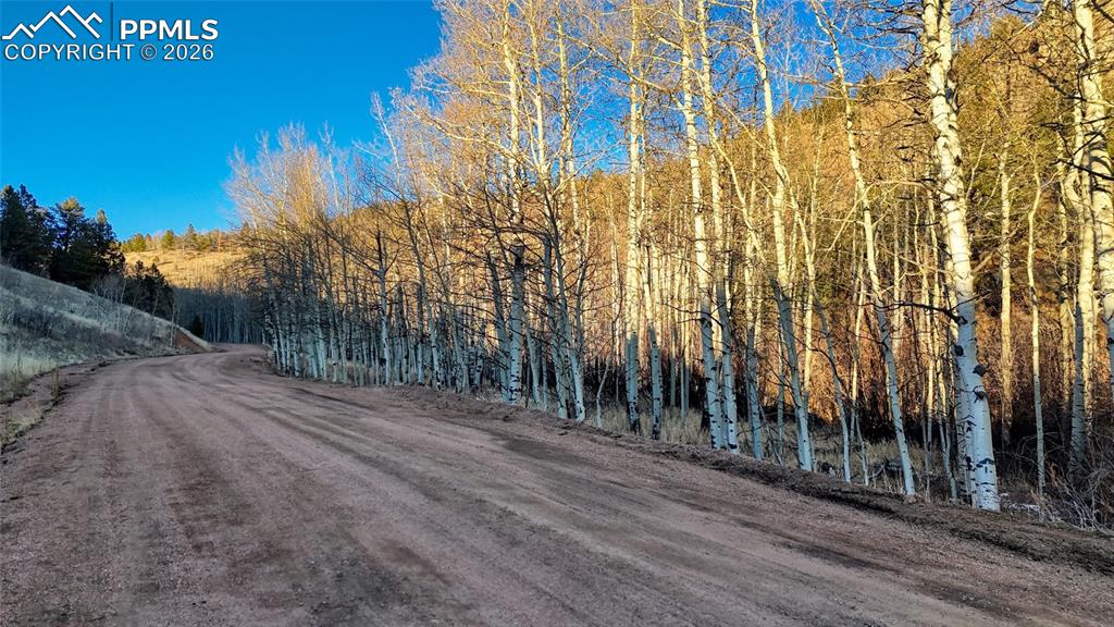 524 Buckhorn Road Cripple Creek CO 80813