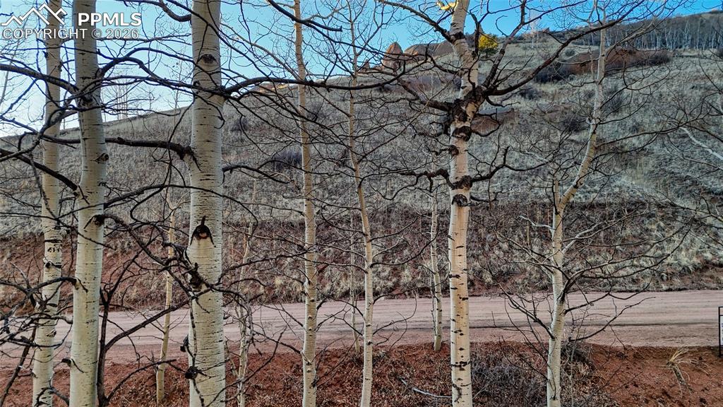 524 Buckhorn Road Cripple Creek CO 80813