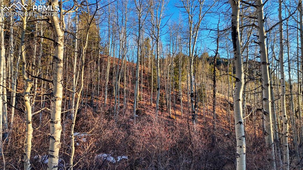 524 Buckhorn Road Cripple Creek CO 80813