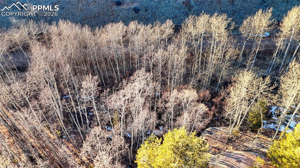 524 Buckhorn Road Cripple Creek CO 80813