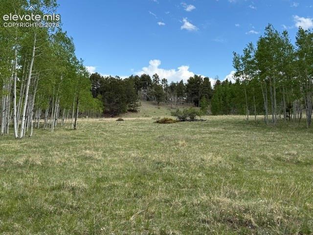 417 Aspen Way Drive Florissant CO 80816
