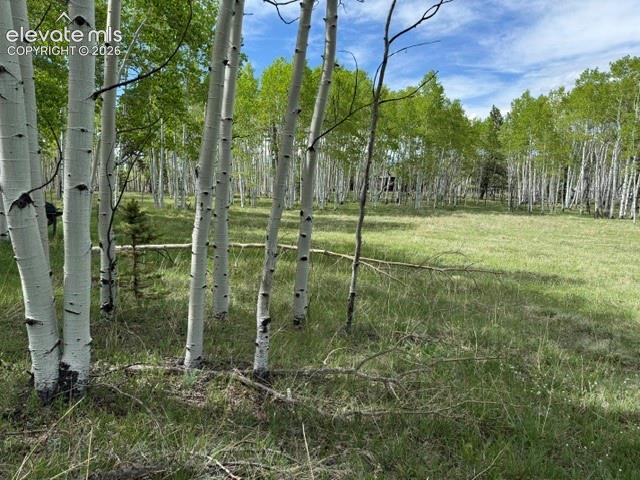 417 Aspen Way Drive Florissant CO 80816