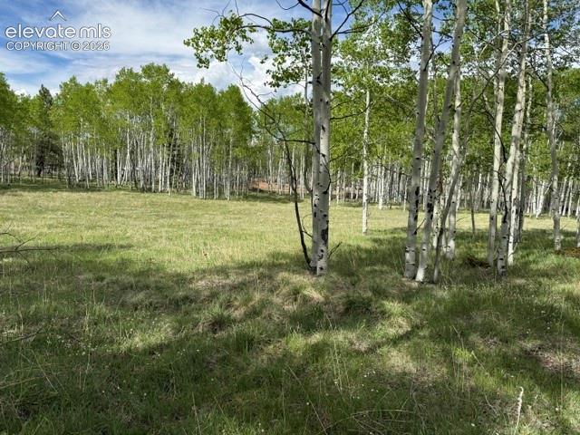 417 Aspen Way Drive Florissant CO 80816