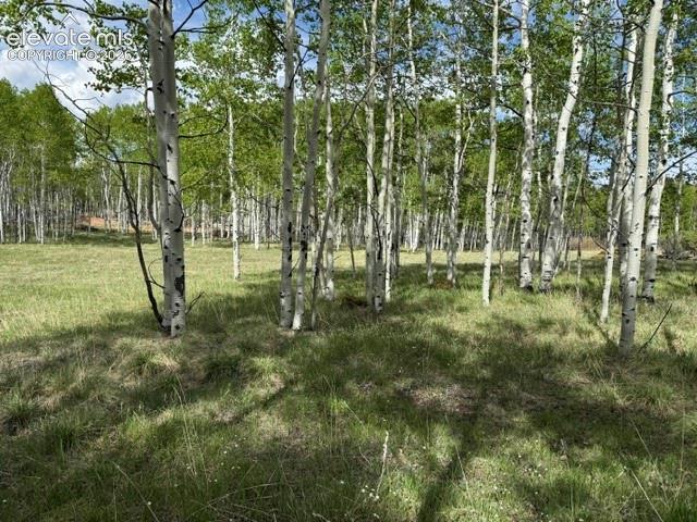 417 Aspen Way Drive Florissant CO 80816