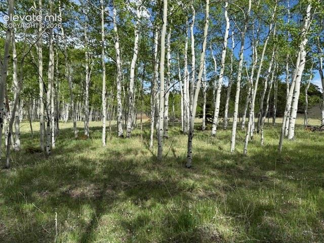 417 Aspen Way Drive Florissant CO 80816