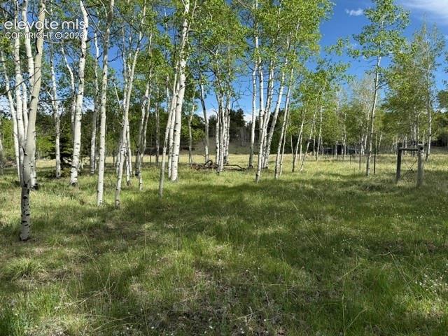 417 Aspen Way Drive Florissant CO 80816