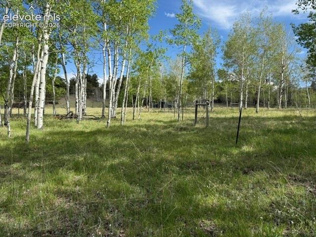 417 Aspen Way Drive Florissant CO 80816