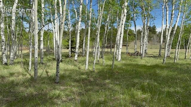 417 Aspen Way Drive Florissant CO 80816